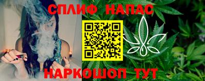 дурь Сланцы
