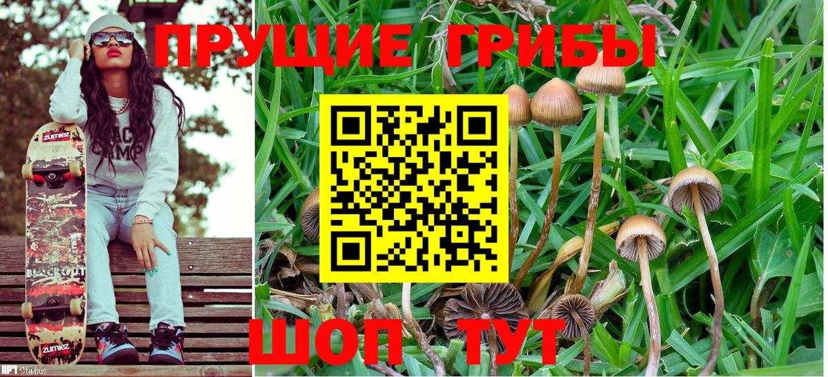 Нижнеудинск  Псилоцибиновые грибы Cubensis  Псилоцибиновые грибы GOLDEN TEACHER  Вход с VPN 