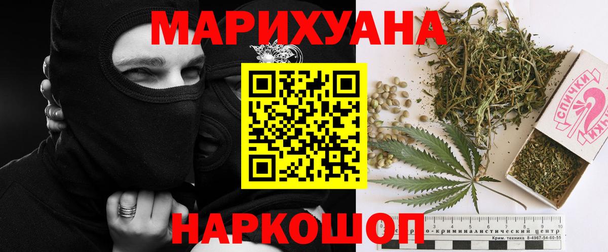 Конопля сатива Нижнеудинск